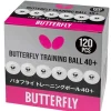 Butterfly Training 40+ Bordtennisbolde, 120 Stk.