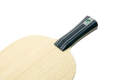 Butterfly FAN ZHENDONG ZLC